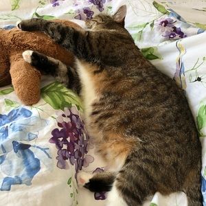 Meet your Posher, Bob